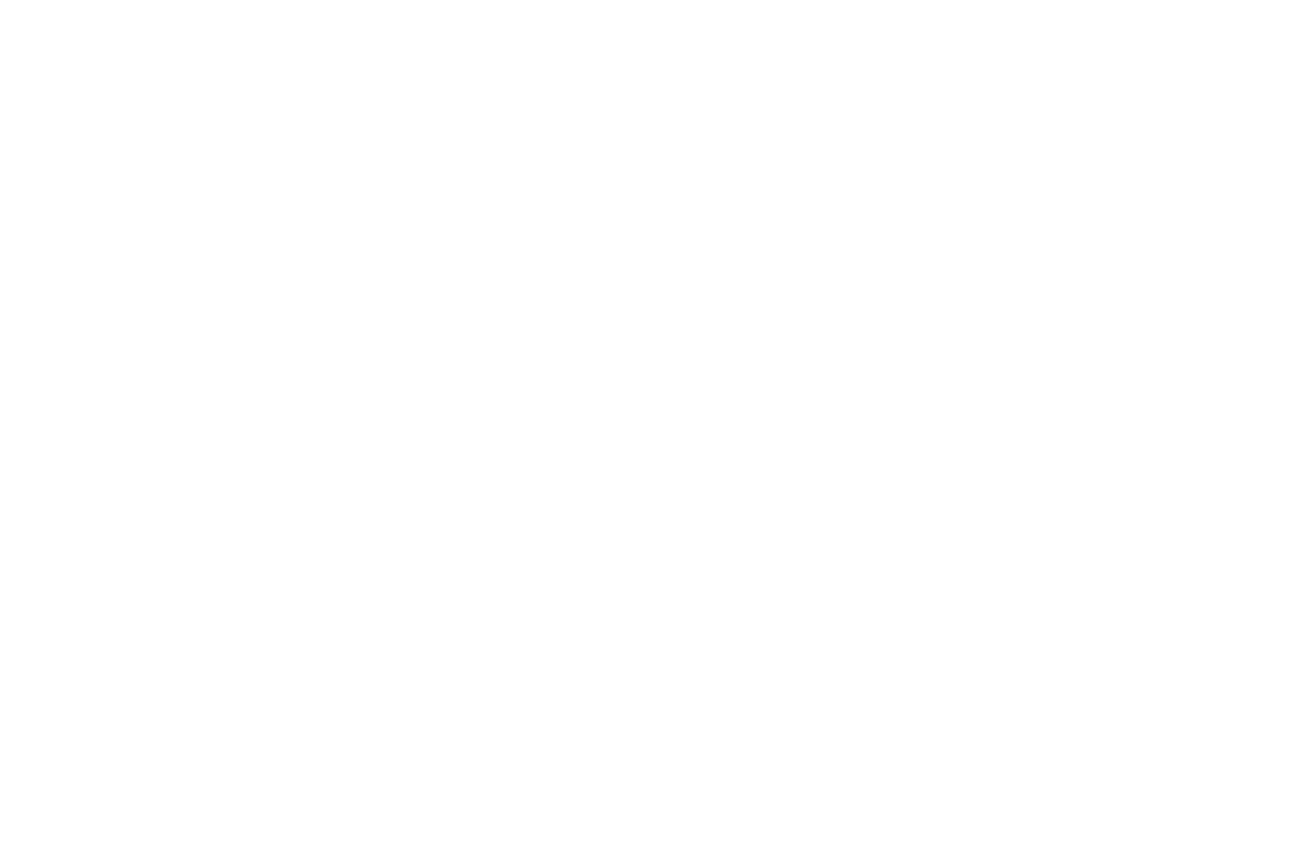 MIRAGE PARADE